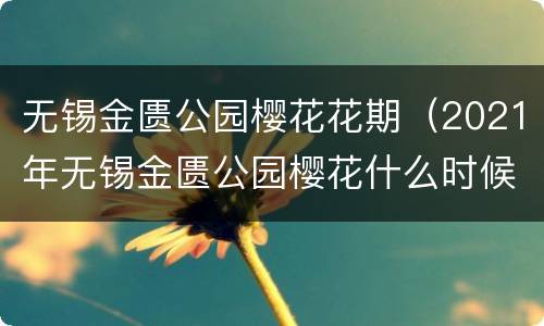 无锡金匮公园樱花花期（2021年无锡金匮公园樱花什么时候开）