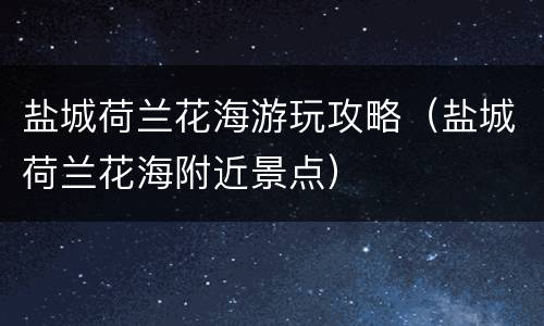 盐城荷兰花海游玩攻略（盐城荷兰花海附近景点）