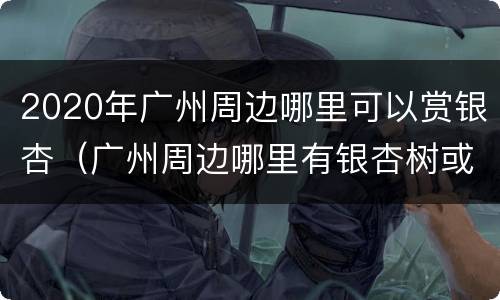 2020年广州周边哪里可以赏银杏（广州周边哪里有银杏树或者枫树）