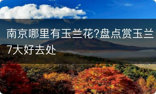 南京哪里有玉兰花?盘点赏玉兰7大好去处
