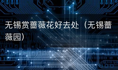 无锡赏蔷薇花好去处（无锡蔷薇园）