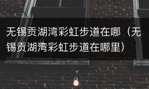 无锡贡湖湾彩虹步道在哪（无锡贡湖湾彩虹步道在哪里）