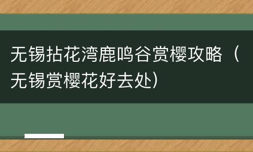 无锡拈花湾鹿鸣谷赏樱攻略（无锡赏樱花好去处）