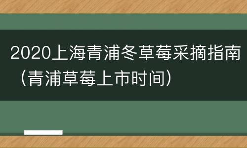2020上海青浦冬草莓采摘指南（青浦草莓上市时间）
