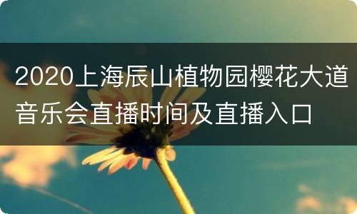 2020上海辰山植物园樱花大道音乐会直播时间及直播入口