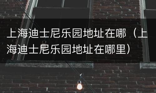 上海迪士尼乐园地址在哪（上海迪士尼乐园地址在哪里）