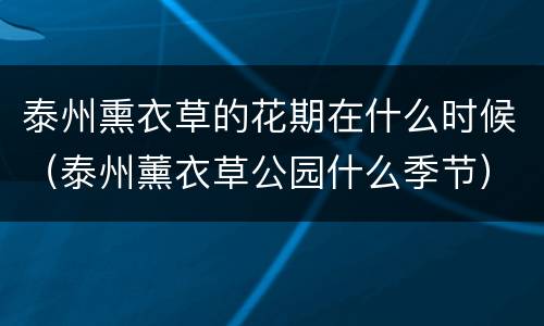 泰州熏衣草的花期在什么时候（泰州薰衣草公园什么季节）