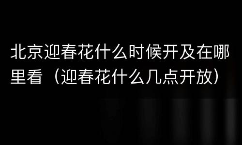 北京迎春花什么时候开及在哪里看（迎春花什么几点开放）