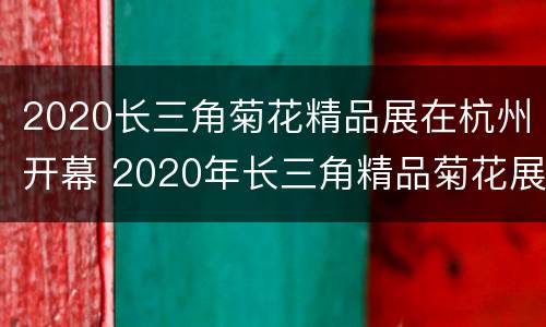 2020长三角菊花精品展在杭州开幕 2020年长三角精品菊花展