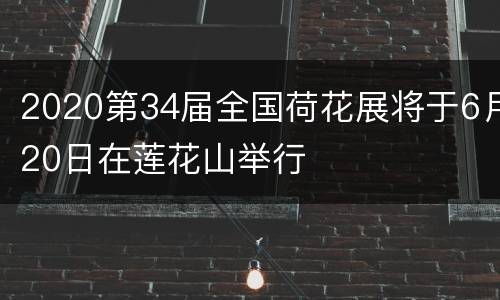 2020第34届全国荷花展将于6月20日在莲花山举行