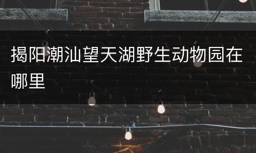 揭阳潮汕望天湖野生动物园在哪里
