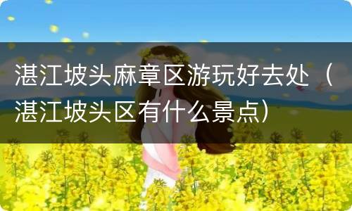 湛江坡头麻章区游玩好去处（湛江坡头区有什么景点）