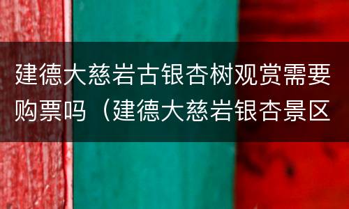 建德大慈岩古银杏树观赏需要购票吗（建德大慈岩银杏景区）