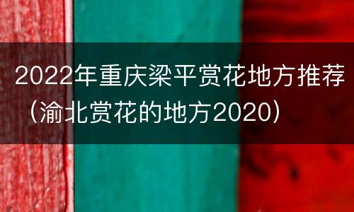 2022年重庆梁平赏花地方推荐（渝北赏花的地方2020）