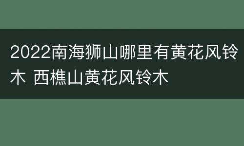 2022南海狮山哪里有黄花风铃木 西樵山黄花风铃木