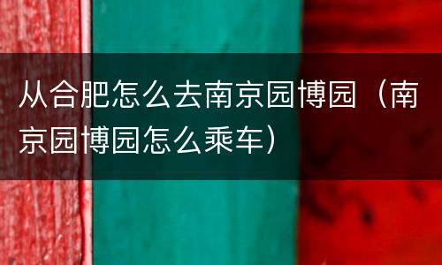 从合肥怎么去南京园博园（南京园博园怎么乘车）