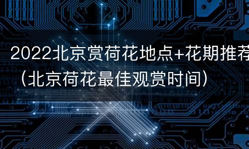 2022北京赏荷花地点+花期推荐（北京荷花最佳观赏时间）