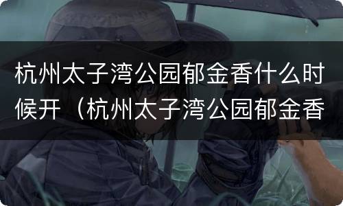 杭州太子湾公园郁金香什么时候开（杭州太子湾公园郁金香什么时候开园）