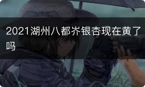 2021湖州八都岕银杏现在黄了吗