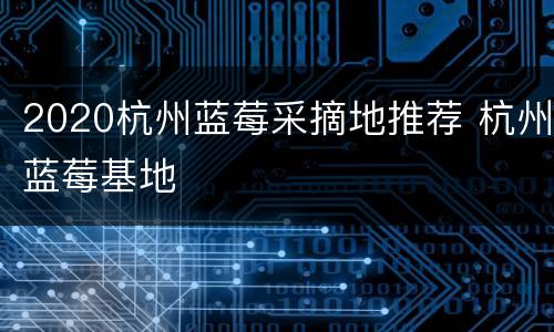 2020杭州蓝莓采摘地推荐 杭州蓝莓基地