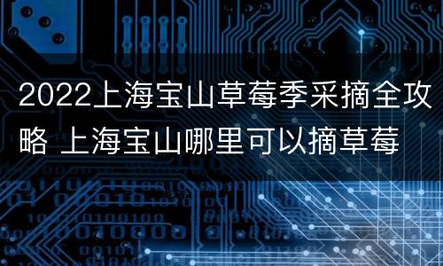 2022上海宝山草莓季采摘全攻略 上海宝山哪里可以摘草莓