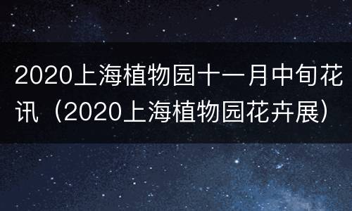 2020上海植物园十一月中旬花讯（2020上海植物园花卉展）