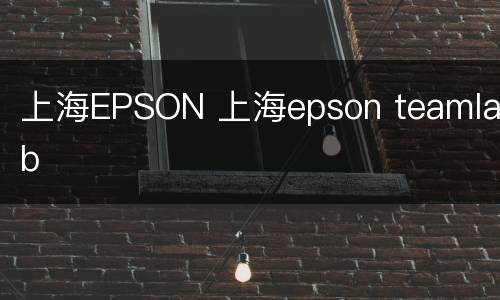 上海EPSON 上海epson teamlab