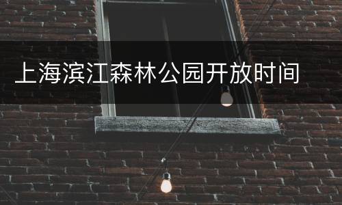 上海滨江森林公园开放时间