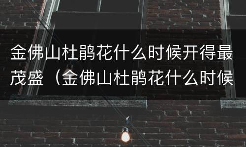 金佛山杜鹃花什么时候开得最茂盛（金佛山杜鹃花什么时候开得最茂盛呢）