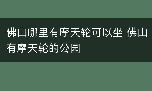 佛山哪里有摩天轮可以坐 佛山有摩天轮的公园