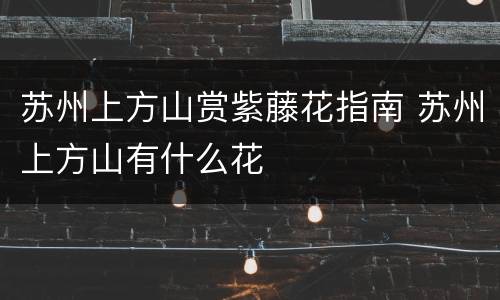 苏州上方山赏紫藤花指南 苏州上方山有什么花