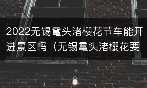 2022无锡鼋头渚樱花节车能开进景区吗（无锡鼋头渚樱花要门票吗）