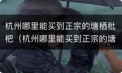 杭州哪里能买到正宗的塘栖枇杷（杭州哪里能买到正宗的塘栖枇杷干）