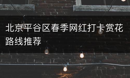 北京平谷区春季网红打卡赏花路线推荐