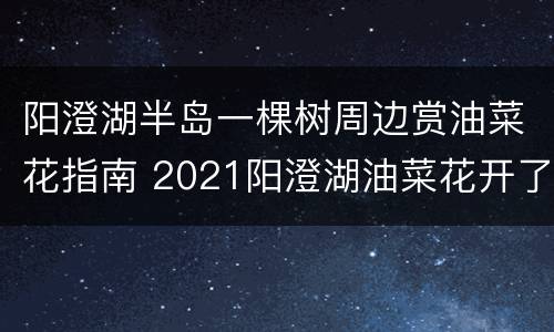 阳澄湖半岛一棵树周边赏油菜花指南 2021阳澄湖油菜花开了吗