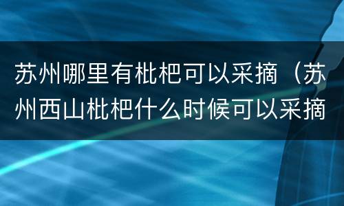 苏州哪里有枇杷可以采摘（苏州西山枇杷什么时候可以采摘）