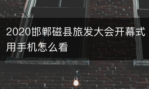 2020邯郸磁县旅发大会开幕式用手机怎么看