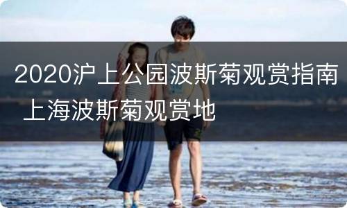 2020沪上公园波斯菊观赏指南 上海波斯菊观赏地