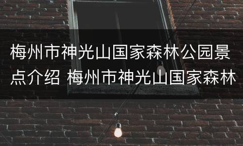 梅州市神光山国家森林公园景点介绍 梅州市神光山国家森林公园景点介绍作文
