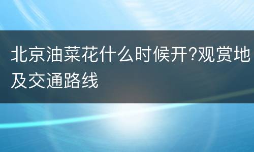 北京油菜花什么时候开?观赏地及交通路线