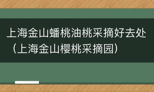 上海金山蟠桃油桃采摘好去处（上海金山樱桃采摘园）