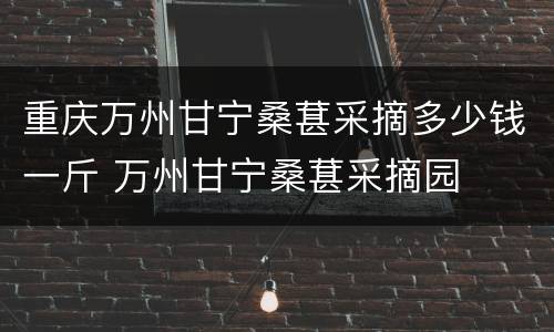 重庆万州甘宁桑葚采摘多少钱一斤 万州甘宁桑葚采摘园