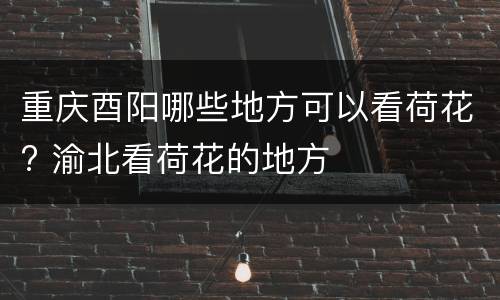 重庆酉阳哪些地方可以看荷花? 渝北看荷花的地方