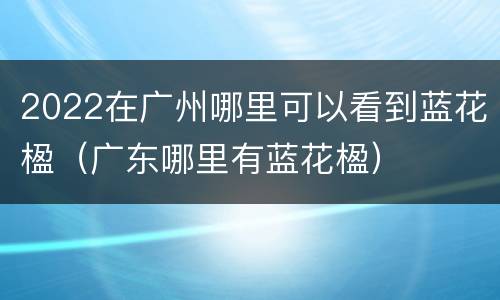 2022在广州哪里可以看到蓝花楹（广东哪里有蓝花楹）