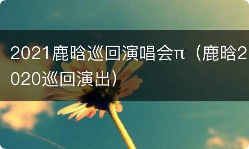 2021鹿晗巡回演唱会π（鹿晗2020巡回演出）