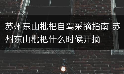 苏州东山枇杷自驾采摘指南 苏州东山枇杷什么时候开摘