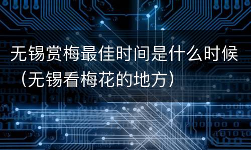无锡赏梅最佳时间是什么时候（无锡看梅花的地方）