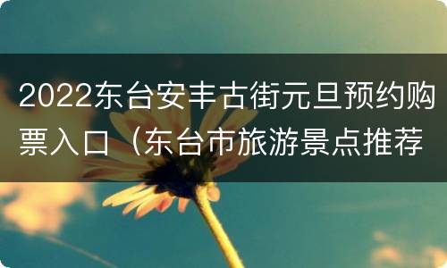 2022东台安丰古街元旦预约购票入口（东台市旅游景点推荐安丰古街）