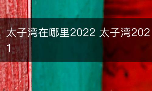 太子湾在哪里2022 太子湾2021