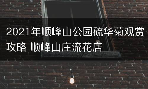 2021年顺峰山公园硫华菊观赏攻略 顺峰山庄流花店